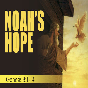 Noah‘s Hope