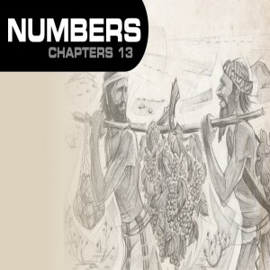 Book of Numbers Study Ch 13
