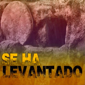 Se Ha Levantado