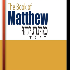 Book of Matthew Study Ch 12