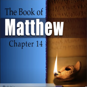 Book of Matthew Study Ch 14