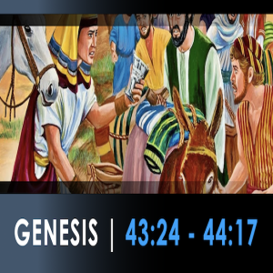 Genesis 43:24 - 44:17