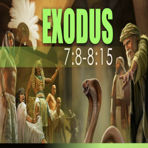 Book of Exodus Study Ch 7:8 - 8:15