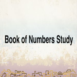 Book of Numbers Study Ch 22 & 23
