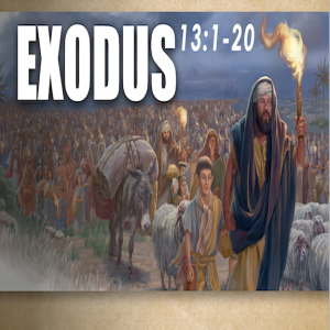 Exodus 13:1 - 20