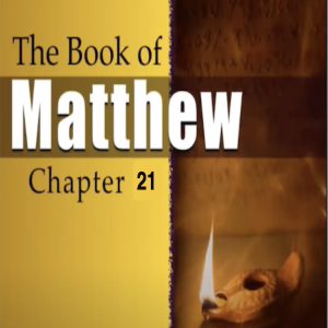 Book of Matthew Study Chapter 21.