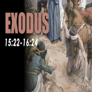 Exodus 15:22 - 16:24