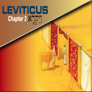 Book of Leviticus Study Ch 3