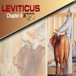 Leviticus 4 & Romans 7 & 8
