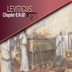 Book of Leviticus Study Ch 6