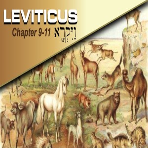 Book of Leviticus Study Ch 9-11