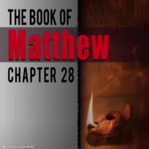 Book of Matthew Study Ch 28
