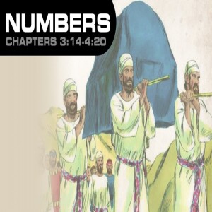 Book of Numbers Study Ch 3 & 4
