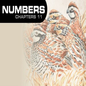 Book of Numbers Study Ch 11.