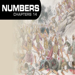 Book of Numbers Study Ch 14