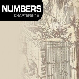 Book of Numbers Study Ch 15