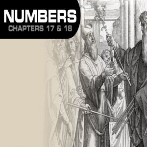 Book of Numbers Study Ch 17 - 18
