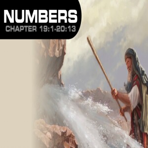 Book of Numbers Ch 19 - 20:13