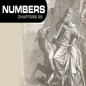 Book of Numbers Study Ch 22