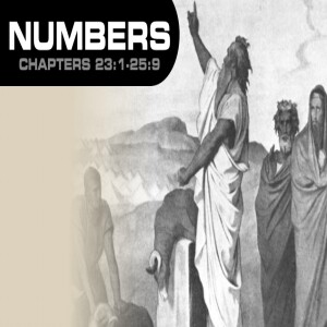 Book of Numbers Study Ch 23 - 25.