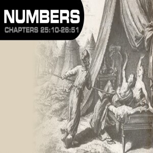 Book of Numbers Study Ch 25 - 26