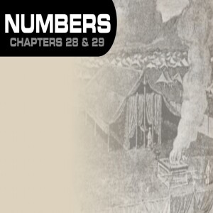 Book of Numbers Study Ch 28 - 29