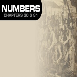 Book of Numbers Study Ch 30 & 31