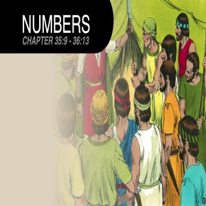 Book of Numbers Study Ch 35:9 - 36:13