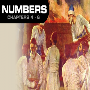 Book of Numbers Study Ch 4 - 6