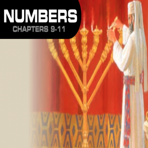 Book of Numbers Study Ch 9 - 11