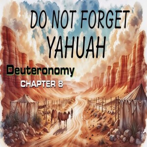 Book of Deuteronomy Study Ch 8