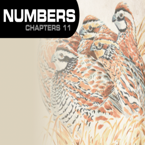 Book of Numbers Study Ch 11 - 13