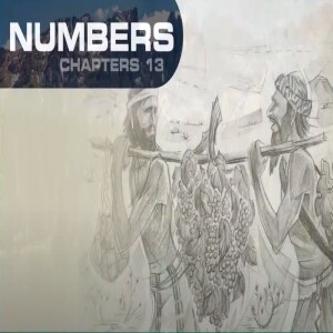 Book of Numbers Study Ch 13 - 15