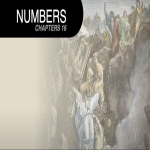 Book of Numbers Study Ch 16 - 17