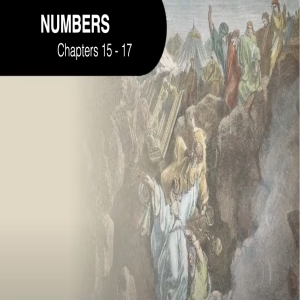 Book of Numbers Study Ch 15 - 17