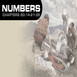 Book of Numbers Study Ch 21 - 23