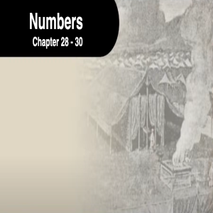 Book of Numbers Ch 28 - 30