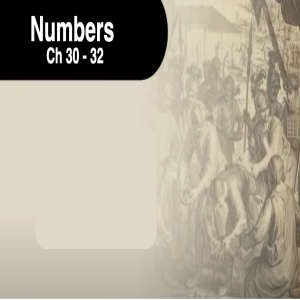 Book of Numbers Study Ch 30 - 32