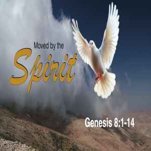 Book of Genesis Study Ch 8:1 - 14