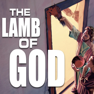 The Lamb of God