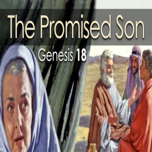 The Promised Son