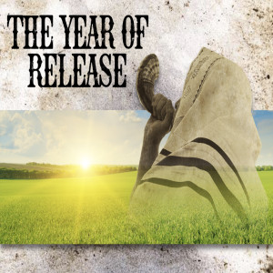 The Year of Release