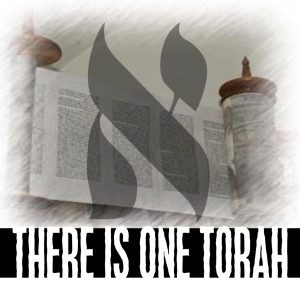 There is One Torah