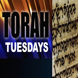 Torah Tuesday 8-4