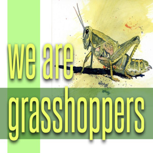We are Grasshoppers