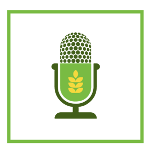 Winter wheat seeding best management practices with Dr. Brian Beres (AAFC)