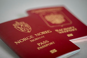 UDI-innsikt