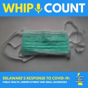 Delaware's Response to COVID-19: Public health, unemployment and small businesses