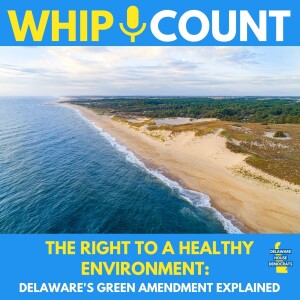 The Right to a Healthy Environment: Delaware’s Green Amendment Explained