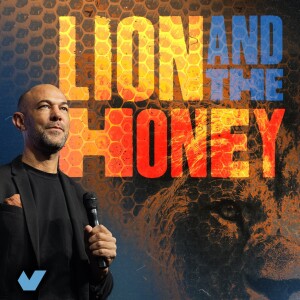 Lion and the Honey
